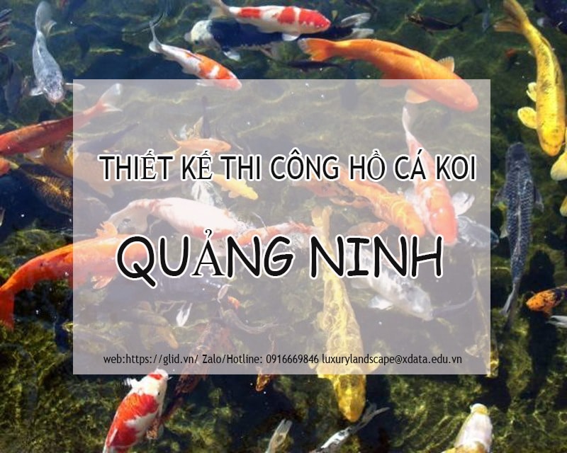thiết kế thi công hồ cá koi Hải Phòng