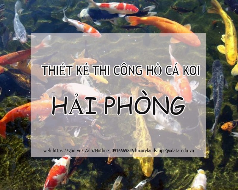 thiết kế thi công hồ cá koi Hải Phòng