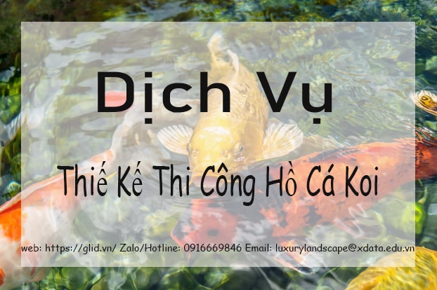 THIẾT KẾ THI CÔNG HỒ CÁ KOI 