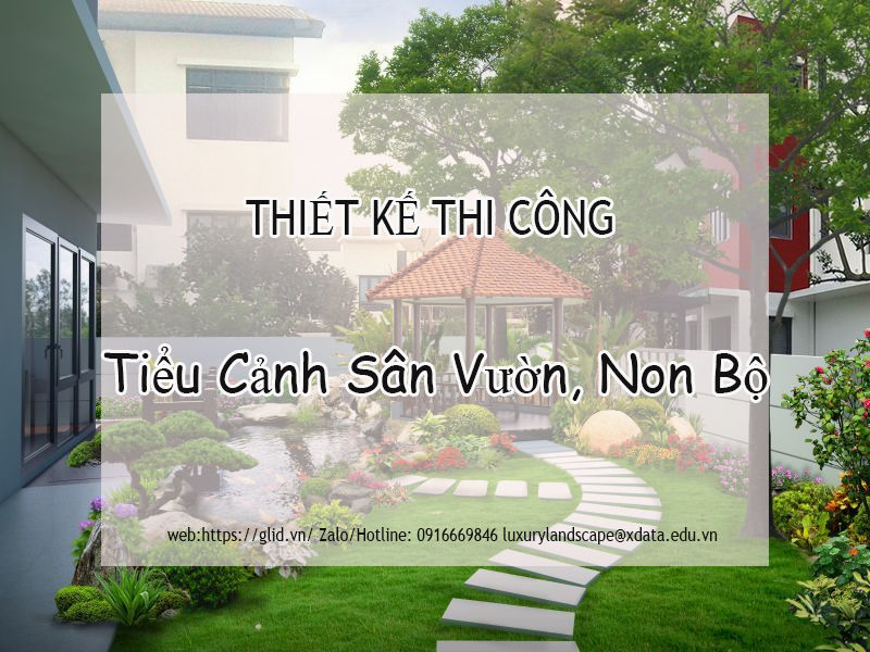 Thiết kế thi công tiểu cảnh sân vườn