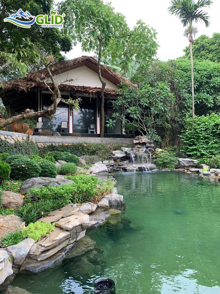 thiết kế hồ cá koi Hòa Bình. thi công hồ cá koi Hòa Bình