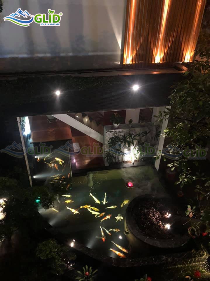 thiết kế thi công hồ cá koi ciputra 