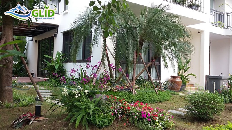 thiết kế thi công hồ cá koi ecopark
