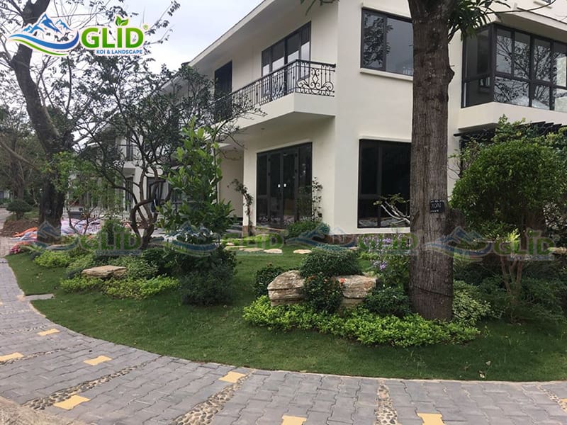 thiết kế thi công hồ cá koi ecopark