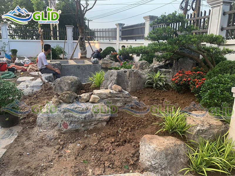 Thiết kế thi công hồ cá koi Như Quỳnh, Hưng Yên