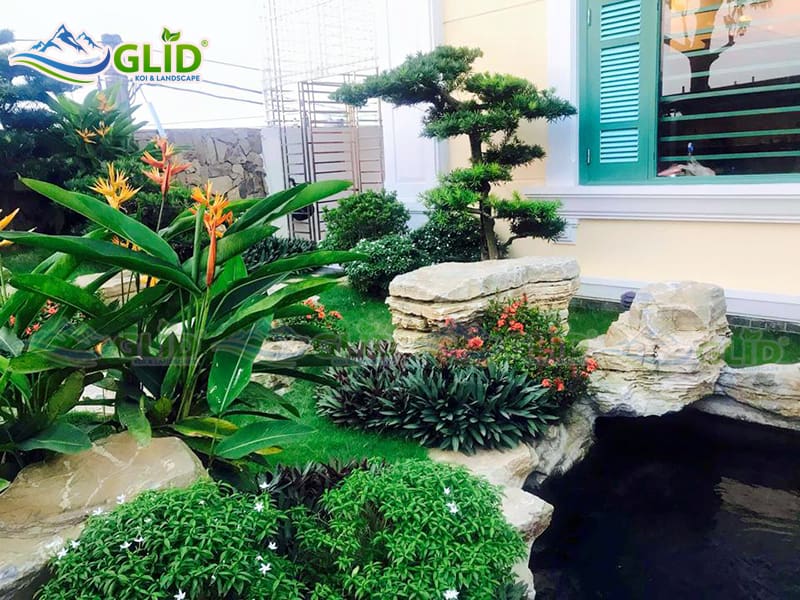 thiết kế thi công hồ cá koi Quảng ninh