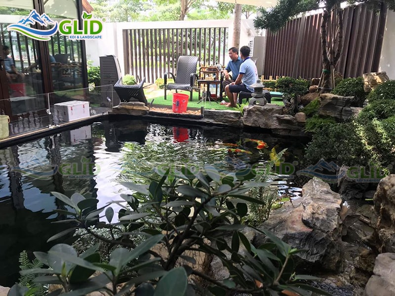 những vấn đề hay gặp khi nuôi cá koi