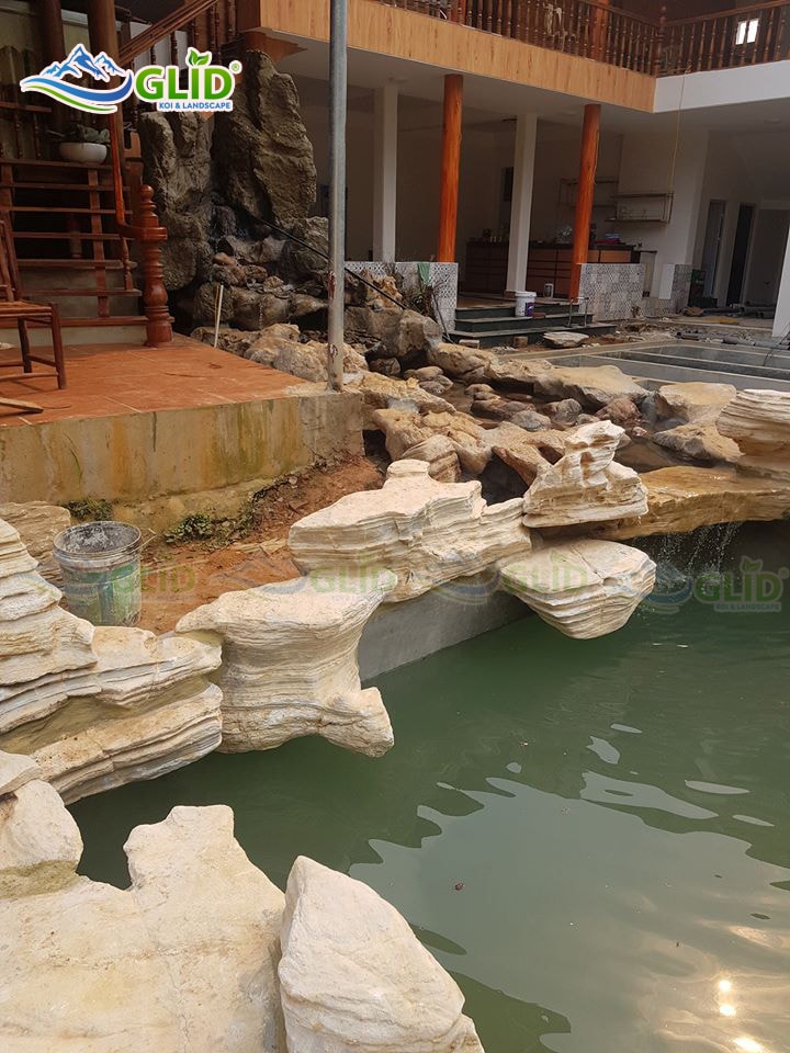 nước hồ koi bị vàng