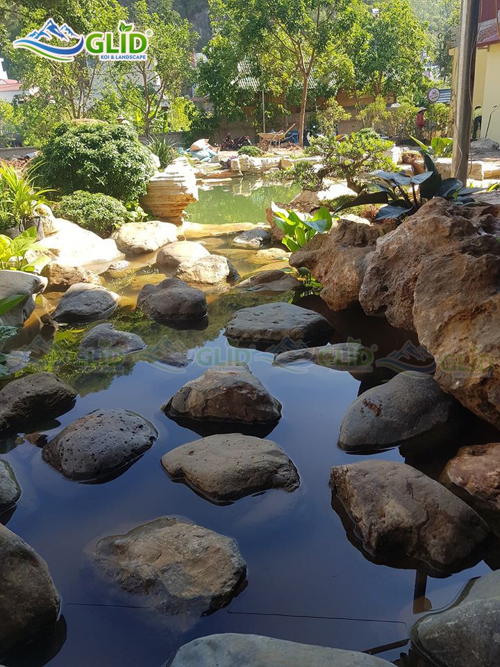 thiết kế thi công hồ cá koi Hà Tĩnh