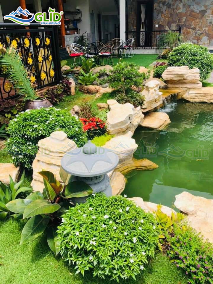 thiết kế thi công hồ cá koi Hà Tĩnh
