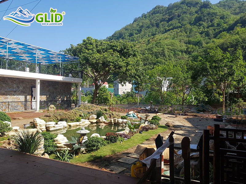 hướng dẫn thiết kế hồ cá koi đúng kỹ thuật