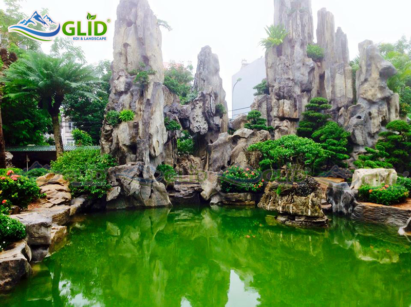 thiết kế thi công hồ cá koi Hòa bình
