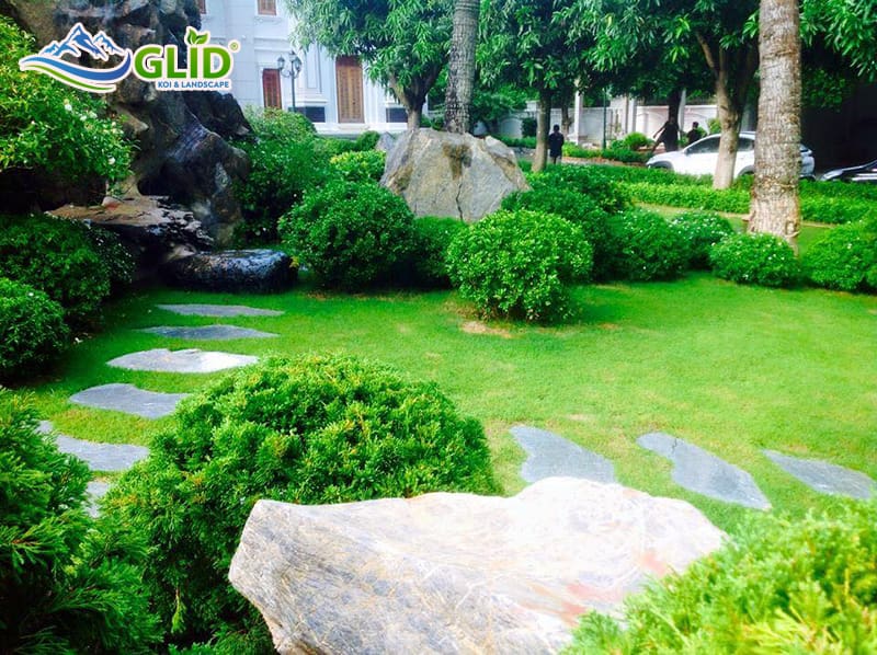 thiết kế thi công hồ cá koi Hòa bình
