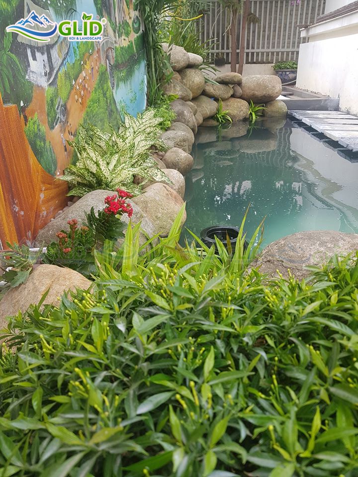 thiết kế thi công hồ cá koi Lai Châu