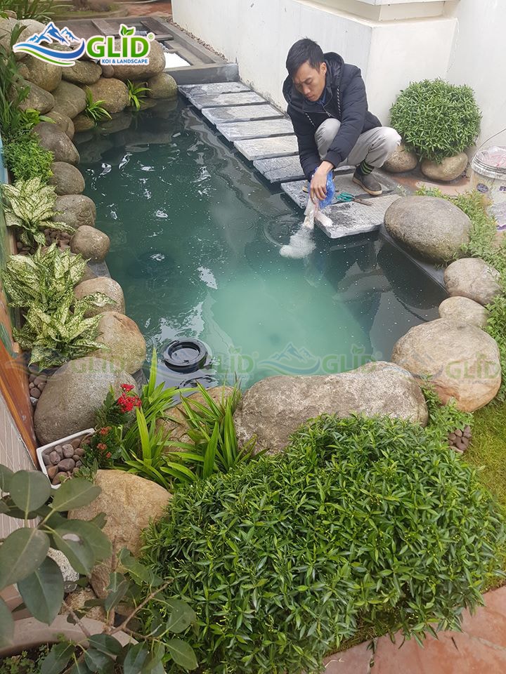 xử lý hồ cá koi bị bọt