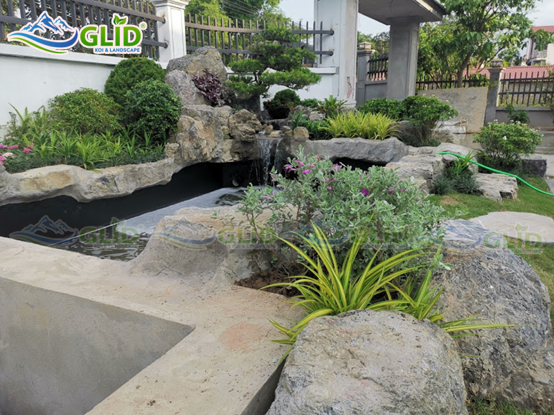 thiết kế thi công hồ cá koi như quỳnh, hưng yên