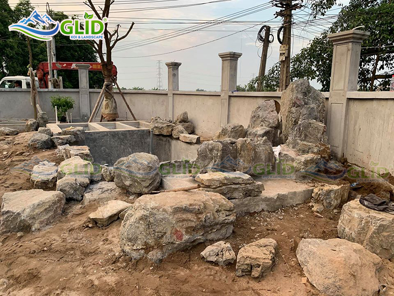Thi công hồ cá koi Như Qùynh, Hưng Yên