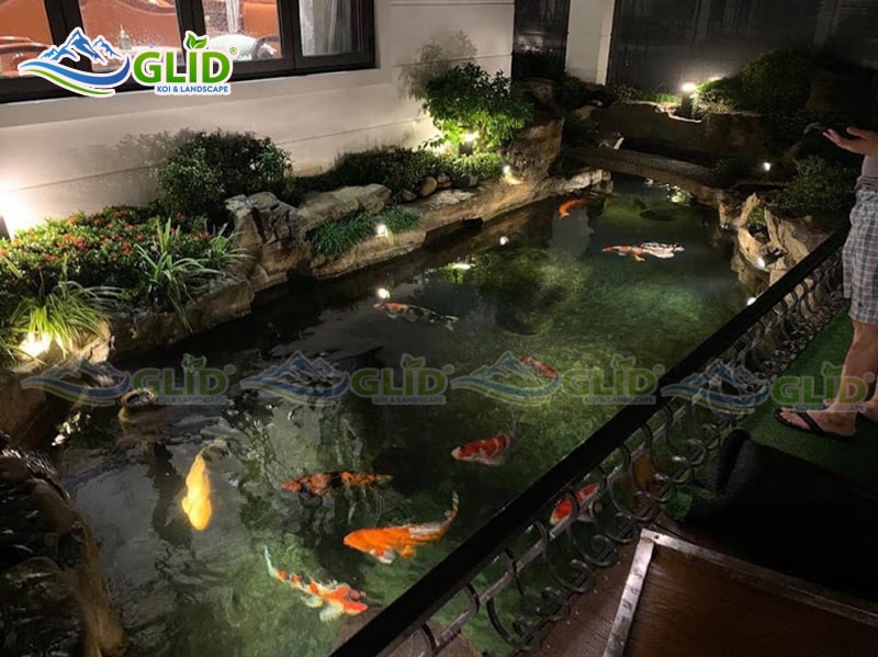 thiết kế thi công hồ cá koi Vinhome Long Biên