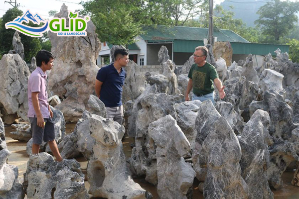 Gợi Ý Các Loại Đá Thi Công Hồ Cá Koi