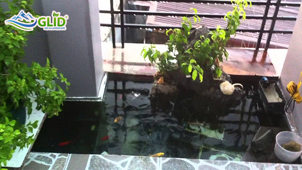 Thi công hồ cá koi ban công quận Đống Đa Hà Nội
