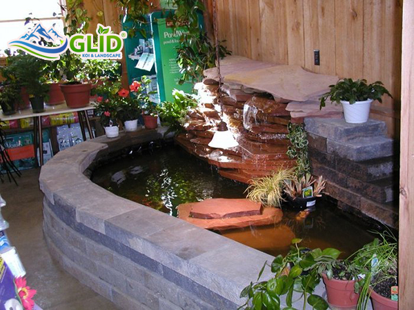 Thiết kế hồ cá koi mini trong nhà đẹp nhất