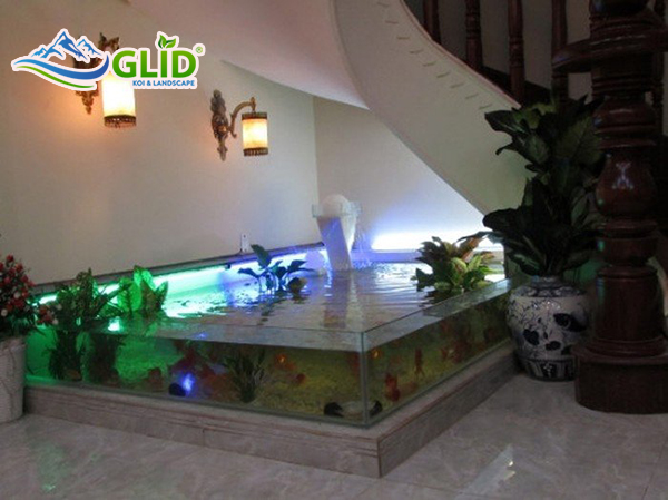 Thiết kế hồ cá koi mini trong nhà đẹp nhất