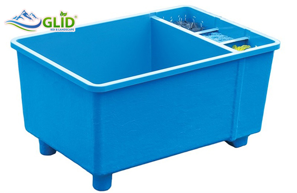 Thi Công Hồ Cá Koi Mini Bằng Composite Xu Hướng Chơi Koi