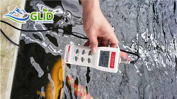 cung cấp oxy hòa tan cho hồ koi