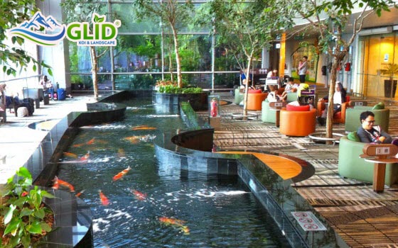 Thiết kế thi công hồ cá koi phong thủy
