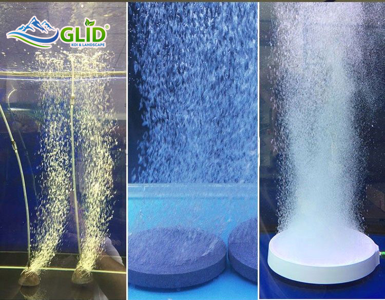 oxy hòa tan cho hồ cá koi