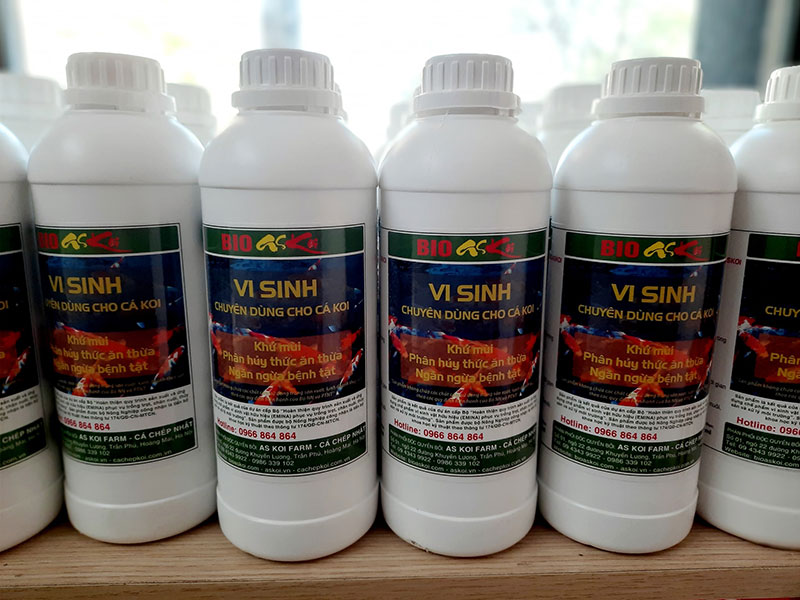 bán men vi sinh cho hồ cá koi