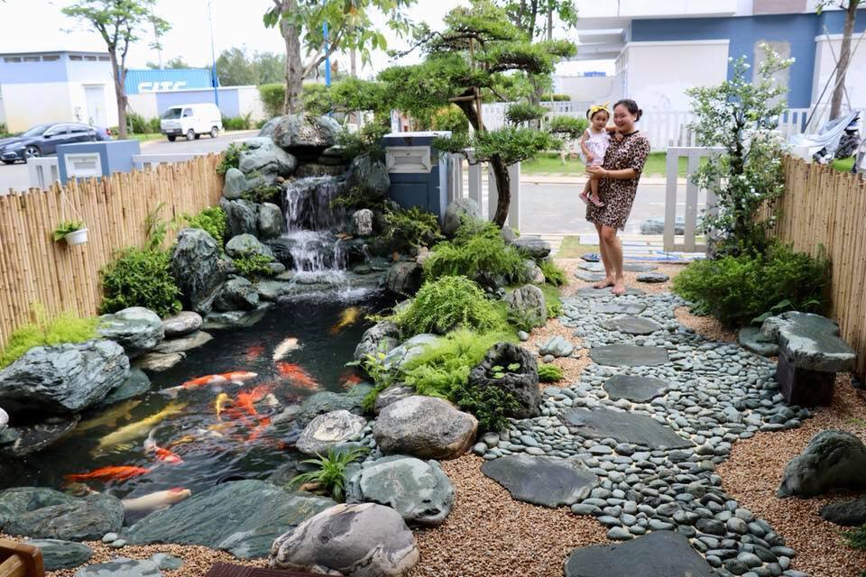 Thiết kế thi công hồ koi sân vườn