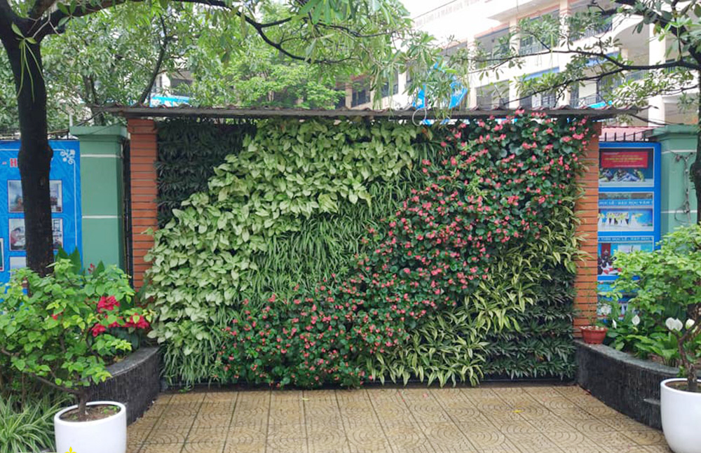 thiết kế thi công tường cây
