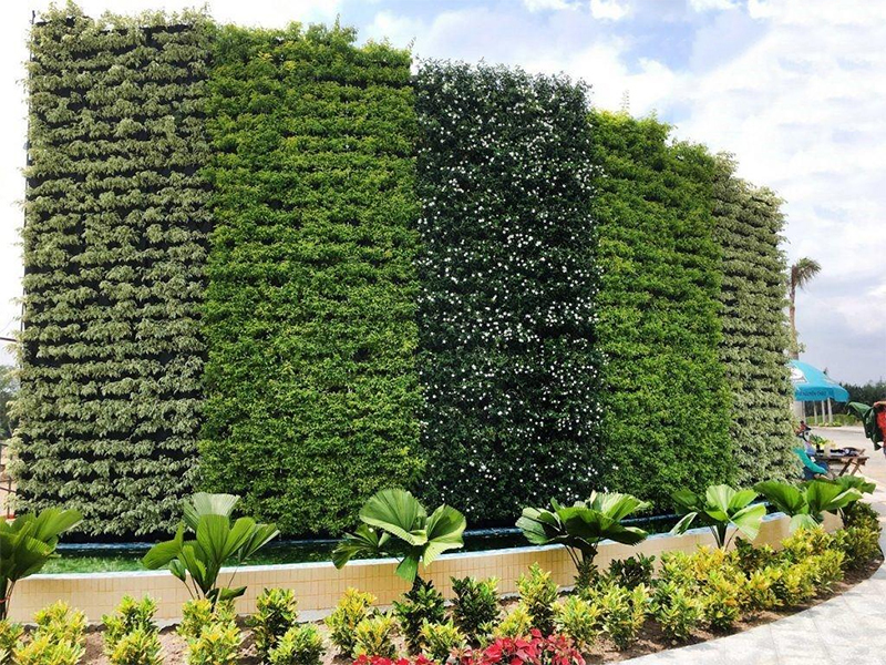 hệ tưới nhỏ giọt cho tường cây