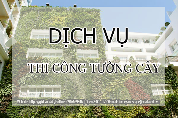 thiết kế thi công tường cây