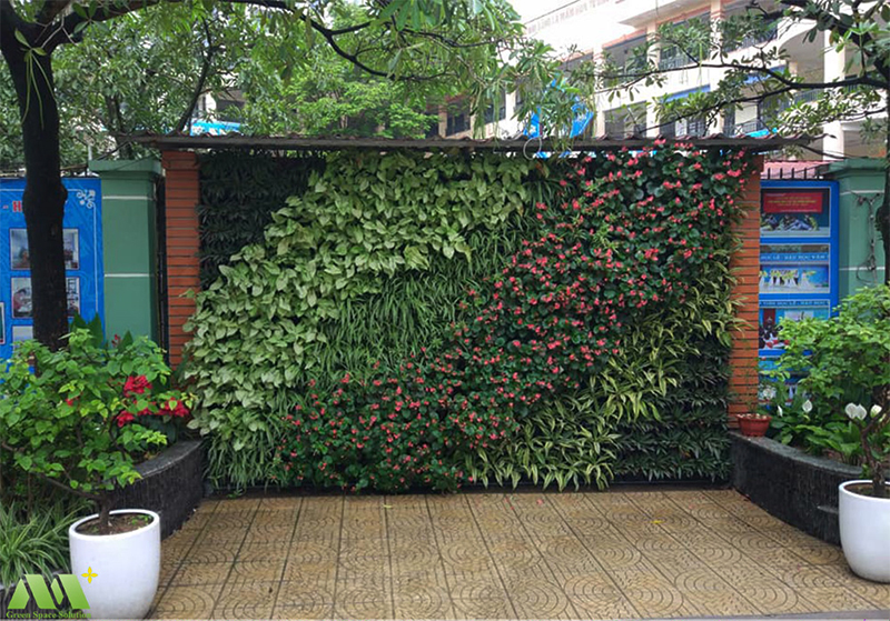 Thi công tường cây giá rẻ