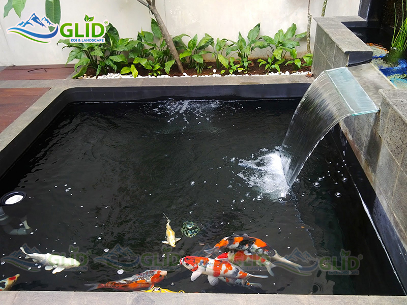 Thiết kế thi công sân vườn có hồ cá koi đẹp