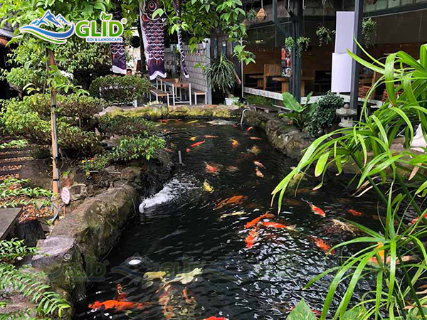 Thiết kế thi công sân vườn có hồ cá koi đẹp