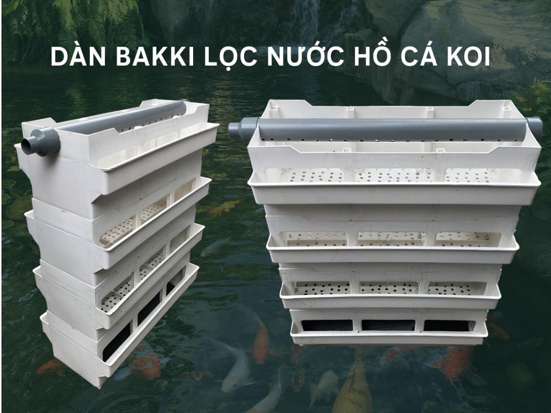 Lọc dàn bakki shower