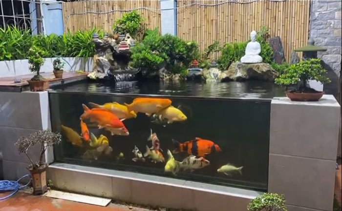 Lưu ý quan trọng khi làm bể cá koi bằng kính