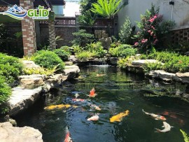 Hướng dẫn cách xây hồ cá mini đẹp