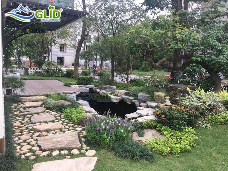 Chi phí xây hồ cá Koi mini bao nhiêu?