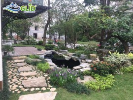 Chi phí xây hồ cá Koi mini bao nhiêu?
