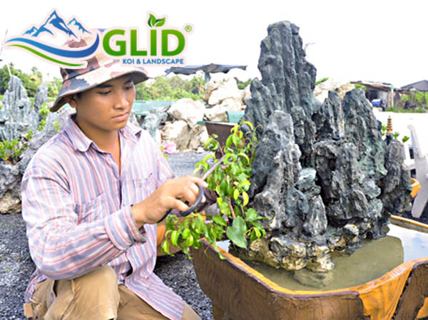 Đá non bộ Thanh Hoá được nhiều người lựa chọn