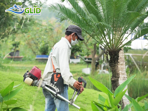 Những điều cần biết về dịch vụ chăm sóc sân vườn biệt thự định kỳ