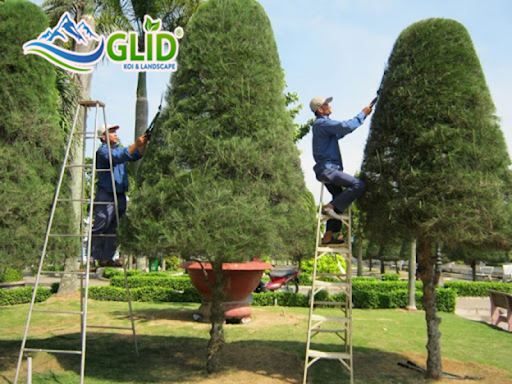 Những dịch vụ thiết lập cảnh quan có thể bạn sẽ cần