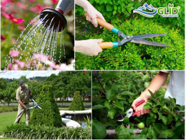 Những dịch vụ thiết lập cảnh quan có thể bạn sẽ cần