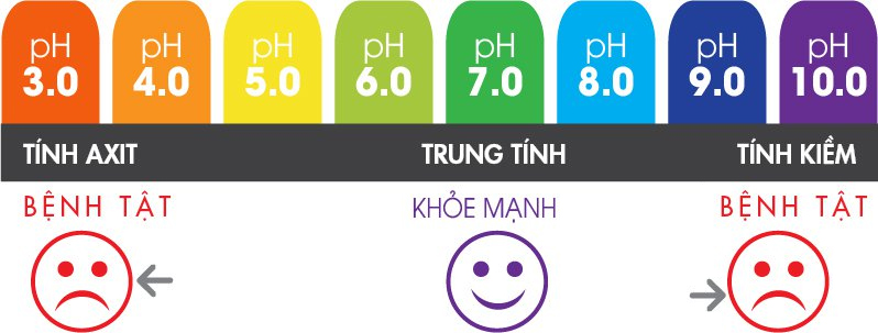 những vấn đề hồ koi hay gặp khi nuôi