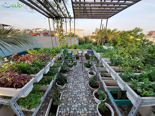 giải pháp vườn sân thượng
