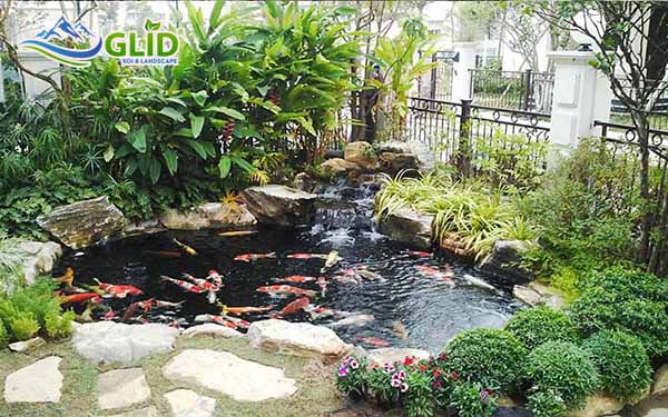 Hướng dẫn làm hồ cá koi đẹp nhất Việt Nam